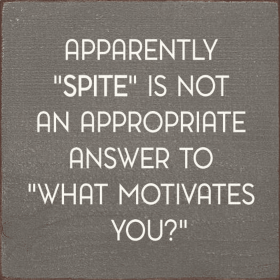 Apparently "Spite" Is Not An Appropriate Answer... (Color: Old Anchor Gray)