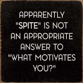 Apparently "Spite" Is Not An Appropriate Answer... (Color: Old Black)