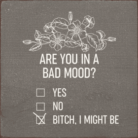 Are you in a bad mood Yes. No. B!tch I might be-checkboxes (Color: Old Anchor Gray)