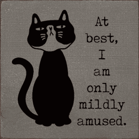 At best, I am only mildly amused. (Cat) (Color: Anchor Gray)