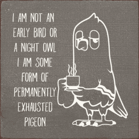 I am not an early bird or a night owl. I am some form of... (Color: Old Anchor Gray)