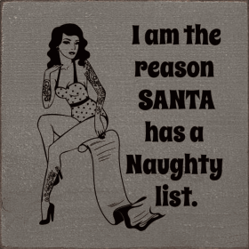 I am the reason santa has a naughty list. (Color: Old Anchor Gray)