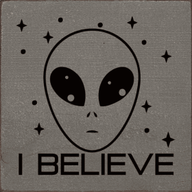 I believe (Alien) (Color: Anchor Gray)