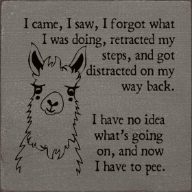 I came, I saw, I forgot what I was doing, retracted my steps (Color: Anchor Gray)