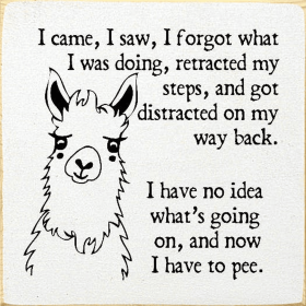 I came, I saw, I forgot what I was doing, retracted my steps (Color: Cottage White)