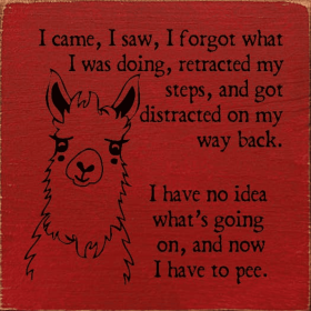 I came, I saw, I forgot what I was doing, retracted my steps (Color: Red)