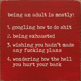 Being An Adult Is Mostly: 1. Googling How To Do Shit ... (Color: Red)
