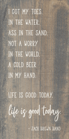 I got my toes in the water - Zach Brown Band Farmhouse Sign (Color: Weathered Gray with White)