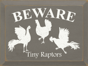 Beware: Tiny Raptors (Color: Old Anchor Gray)