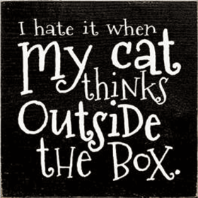 I Hate when my Cat Thinks outside the Box Wood Sign (Color: Old Black)