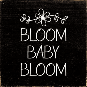 Bloom Baby Bloom (Color: Old Black)