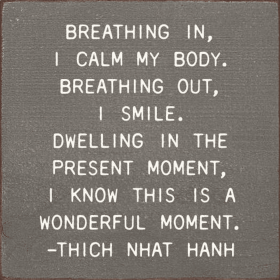 Breathing in, I calm my body. Breathing out, I smile. (Color: Old Anchor Gray)