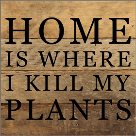 Home Is Where I Kill My Plants... Wood Sign (Color: NR - Natural Reclaimed with Black Print, size: 6x6)