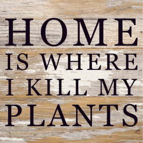 Home Is Where I Kill My Plants... Wood Sign (Color: WR - White Reclaimed with Black Print, size: 6x6)