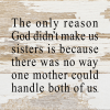 The only reason God didn't make us siste... Wall Sign