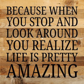 Because When You Stop And Look...  Wall Sign (Color: NR - Natural Reclaimed with Black Print, size: 10x10)