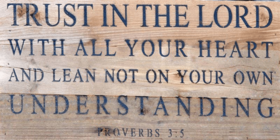 Trust in the Lord with all your hea... Wall Sign (Color: WR - White Reclaimed with Black Print, size: 14x6)