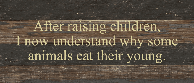 After raising children, I now under... Wall Sign (Color: ES - Espresso Brown with Cream Print, size: 14x6)