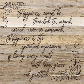 Happiness cannot be traveled to own... Wall Sign (Color: WR - White Reclaimed with Black Print, size: 28X28)