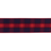 Wired Polyester Ribbon 2.5" x 10