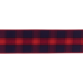 Wired Polyester Ribbon 2.5" x 10 (size: yds.)