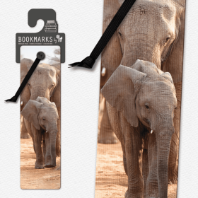 3D Bookmarks (Color: African Elephant)