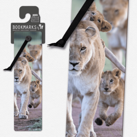 3D Bookmarks (Color: African Lion Cubs)