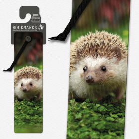 3D Bookmarks (Color: Hedgehog)