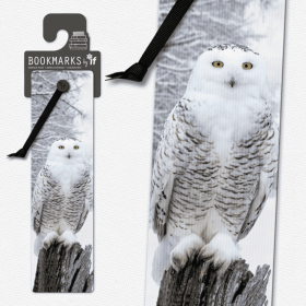 3D Bookmarks (Color: Snowy Owl)