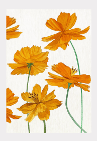 Art Print (Color: Orange Cosmos on Snow, size: large)