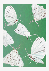 Art Print (Color: White Moths on Teal, size: large)