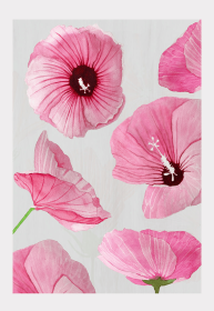 Art Print (Color: Pink Rose of Sharon on Taupe, size: small)
