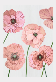 Art Print (Color: Rose Poppies on Pale Grey, size: small)