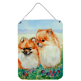 Pomeranian Wall or Door Hanging Prints (Color: 7262DS1216, size: 12 x 16)