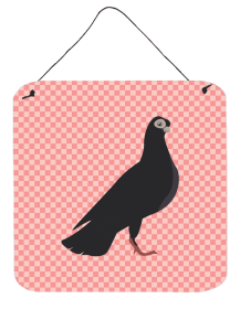 Doves & Pigeons - Budapest Highflyer Pigeon Wall or Door Hanging Prints (Color: Doves & Pigeons - Budapest Highflyer Pigeon, size: 6 x 6)