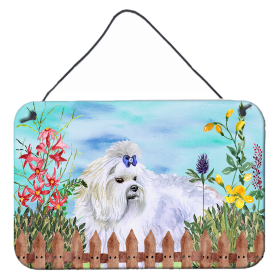 Maltese Accent Decor (Color: Maltese, size: 8 x 12)