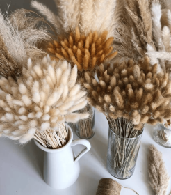 Dried Bunny Tail, Floral Décor (Color: Coffee)