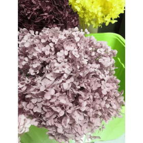 Preserved Hydrangeas, Dried Floral Décor (Color: Purple, size: 4")