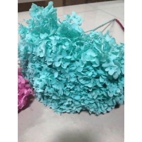 Preserved Hydrangeas, Dried Floral Décor (Color: Bubblegum blue, size: 4")