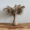 Pampas Grass, Dried Floral Décor